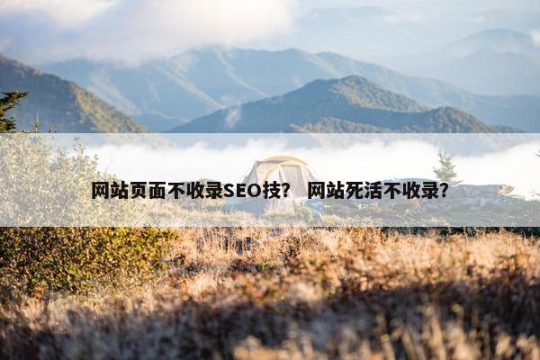 网站页面不收录SEO技？ 网站死活不收录？