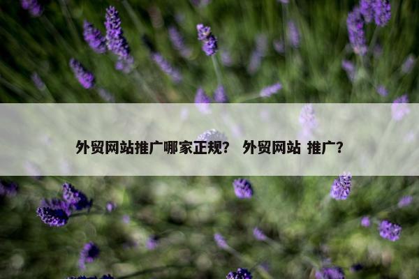 外贸网站推广哪家正规？ 外贸网站 推广？