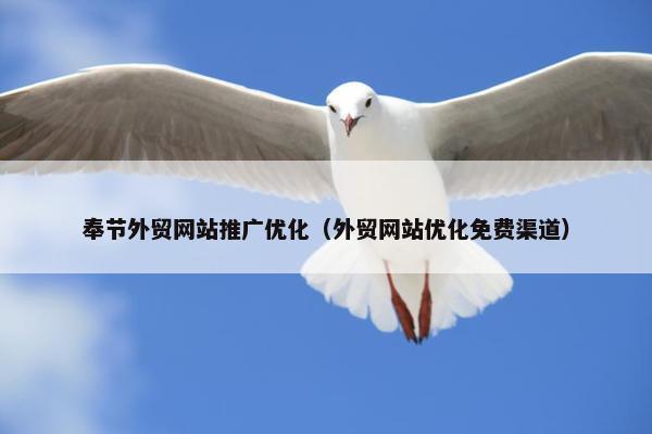奉节外贸网站推广优化（外贸网站优化免费渠道）