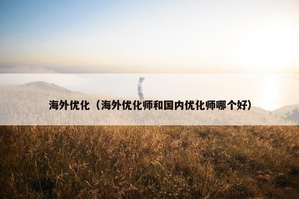 海外优化（海外优化师和国内优化师哪个好）