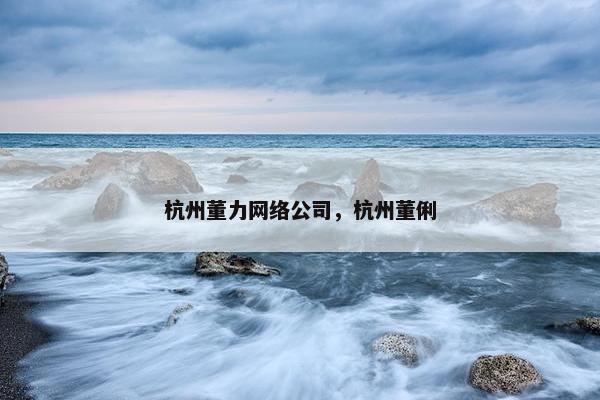杭州董力网络公司，杭州董俐
