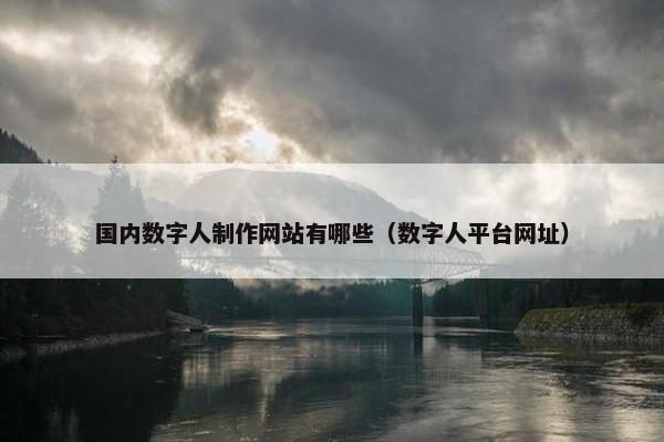 国内数字人制作网站有哪些（数字人平台网址）