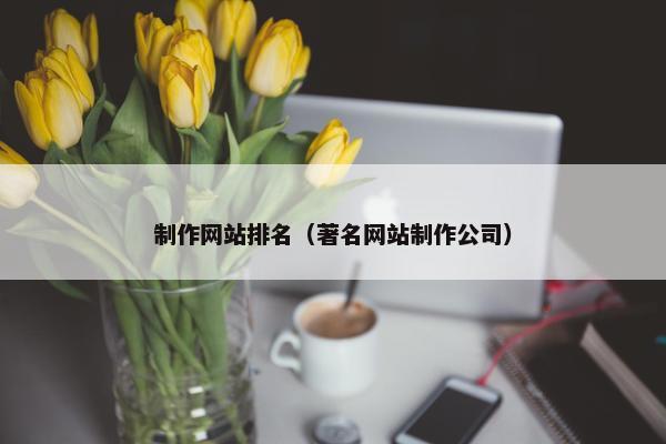 制作网站排名（著名网站制作公司）