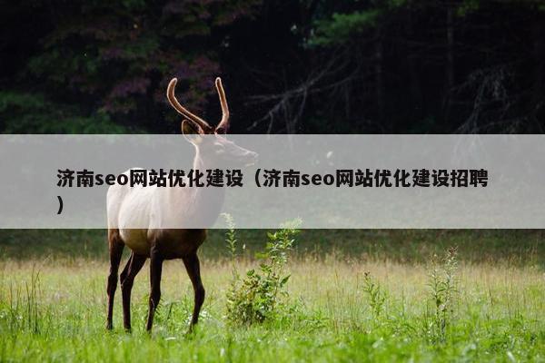 济南seo网站优化建设（济南seo网站优化建设招聘）