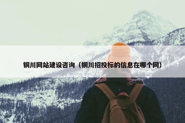铜川网站建设咨询（铜川招投标的信息在哪个网）