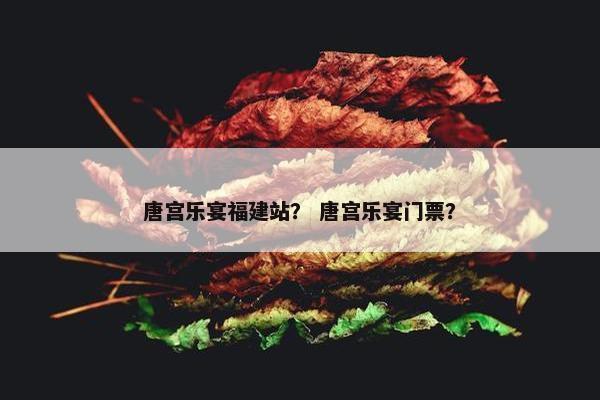 唐宫乐宴福建站？ 唐宫乐宴门票？
