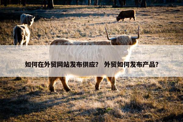 如何在外贸网站发布供应？ 外贸如何发布产品？