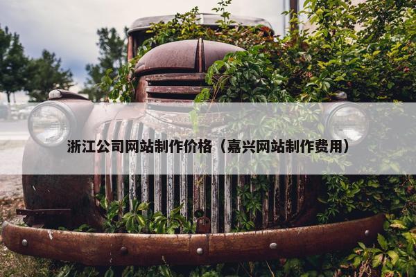 浙江公司网站制作价格（嘉兴网站制作费用）