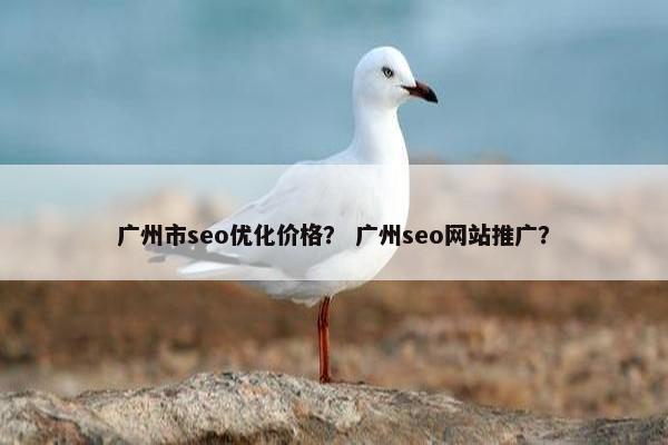 广州市seo优化价格？ 广州seo网站推广？