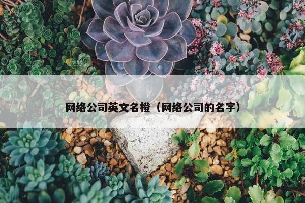 网络公司英文名橙（网络公司的名字）