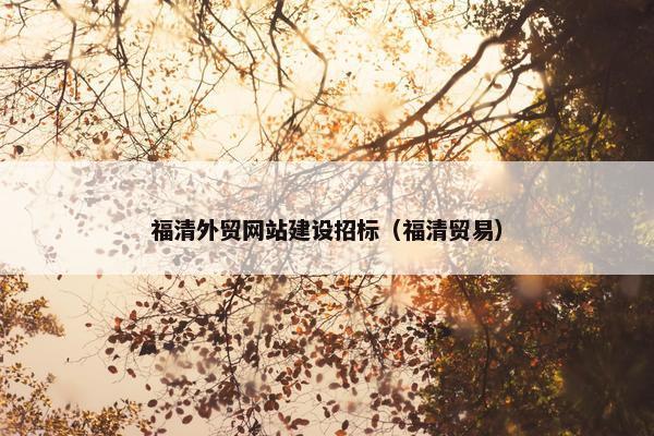 福清外贸网站建设招标（福清贸易）