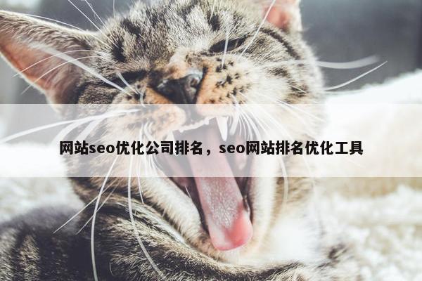 网站seo优化公司排名，seo网站排名优化工具