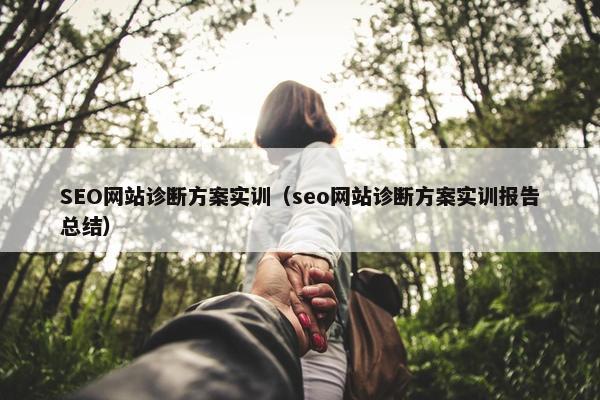 SEO网站诊断方案实训（seo网站诊断方案实训报告总结）