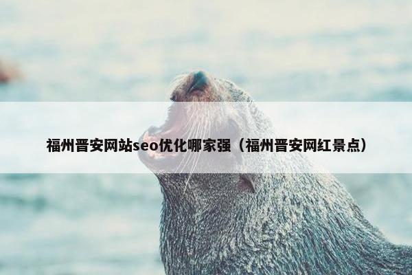 福州晋安网站seo优化哪家强（福州晋安网红景点）