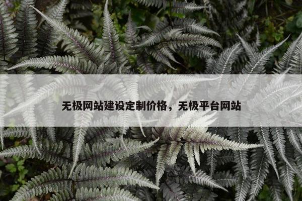 无极网站建设定制价格，无极平台网站