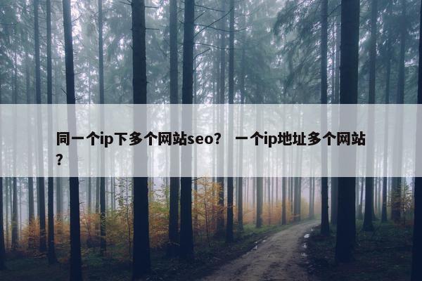同一个ip下多个网站seo？ 一个ip地址多个网站？