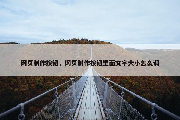 网页制作按钮，网页制作按钮里面文字大小怎么调