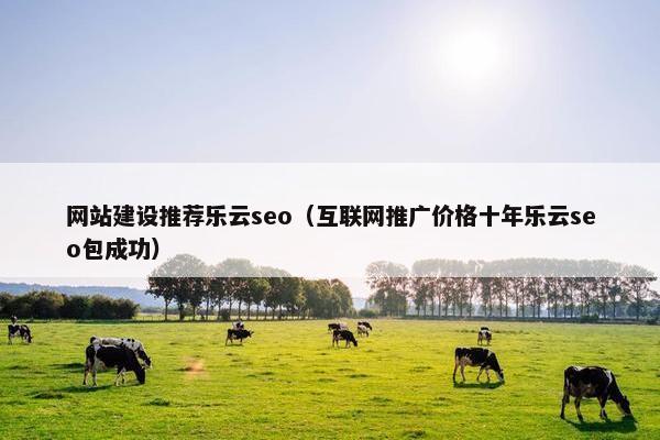 网站建设推荐乐云seo（互联网推广价格十年乐云seo包成功）