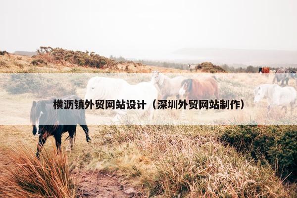 横沥镇外贸网站设计（深圳外贸网站制作）