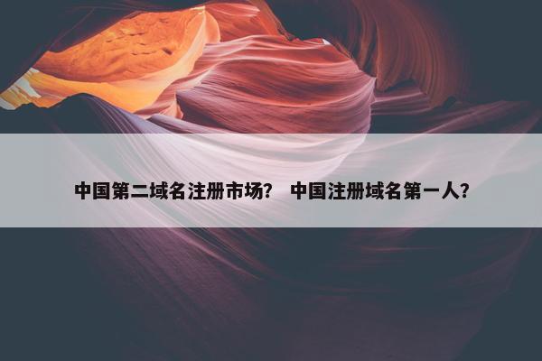 中国第二域名注册市场？ 中国注册域名第一人？