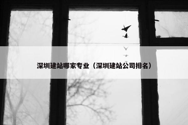 深圳建站哪家专业（深圳建站公司排名）
