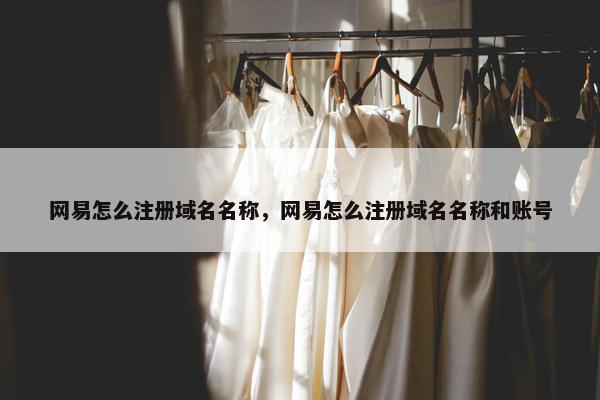 网易怎么注册域名名称，网易怎么注册域名名称和账号