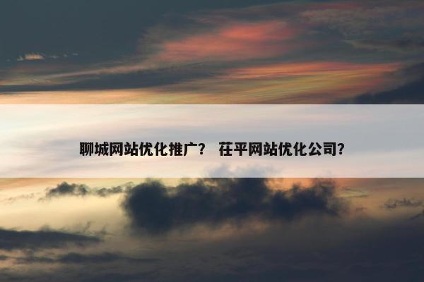 聊城网站优化推广？ 茌平网站优化公司？