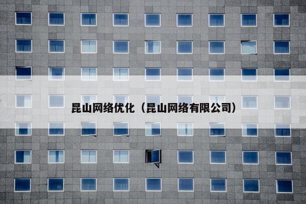 昆山网络优化（昆山网络有限公司）