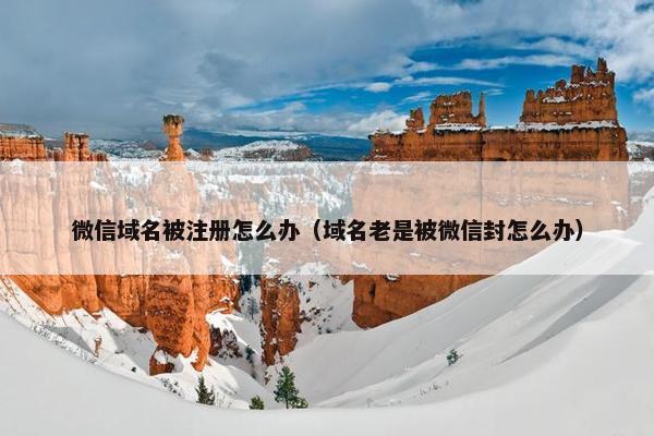 微信域名被注册怎么办（域名老是被微信封怎么办）