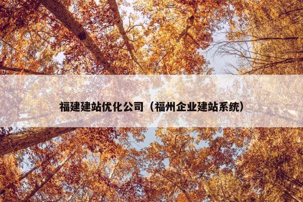 福建建站优化公司（福州企业建站系统）