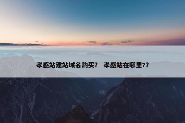 孝感站建站域名购买？ 孝感站在哪里?？