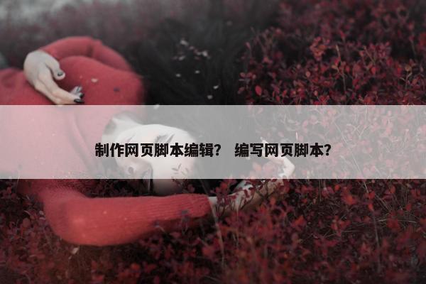 制作网页脚本编辑？ 编写网页脚本？