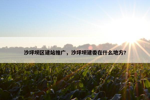 沙坪坝区建站推广，沙坪坝建委在什么地方?