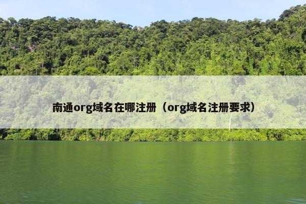 南通org域名在哪注册（org域名注册要求）