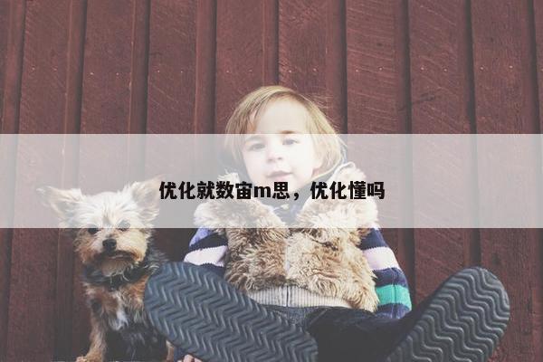 优化就数宙m思，优化懂吗