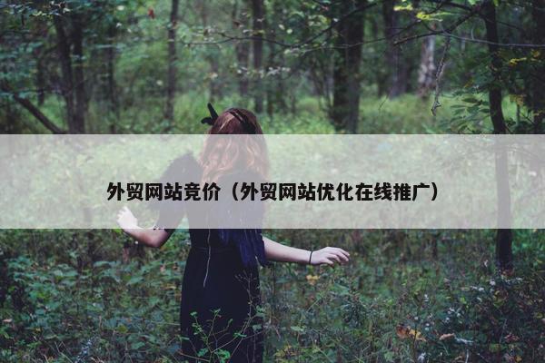 外贸网站竞价（外贸网站优化在线推广）