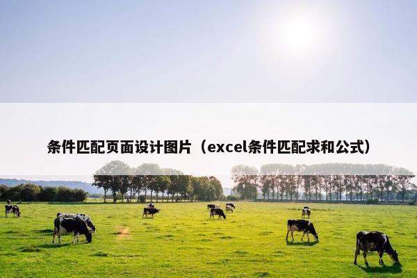 条件匹配页面设计图片（excel条件匹配求和公式）