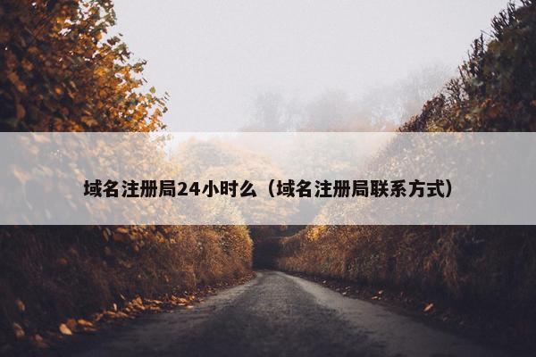 域名注册局24小时么（域名注册局联系方式）