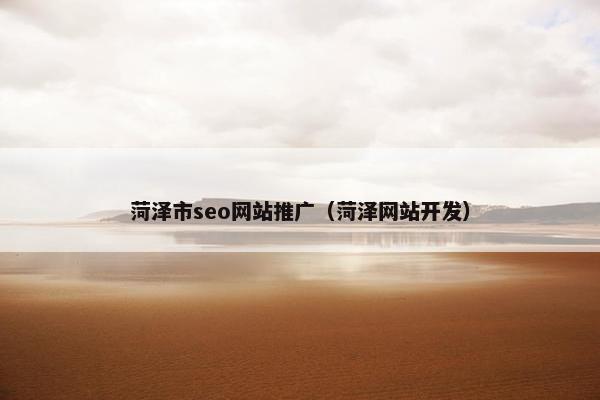 菏泽市seo网站推广（菏泽网站开发）