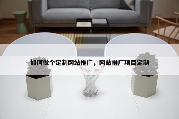 如何做个定制网站推广，网站推广项目定制