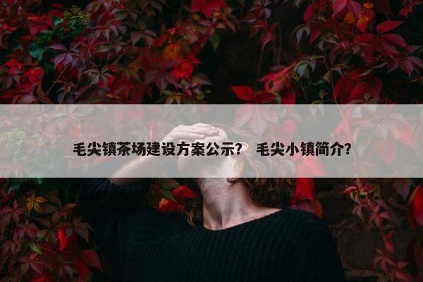 毛尖镇茶场建设方案公示？ 毛尖小镇简介？