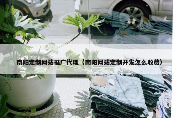南阳定制网站推广代理（南阳网站定制开发怎么收费）
