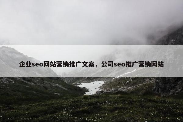 企业seo网站营销推广文案，公司seo推广营销网站