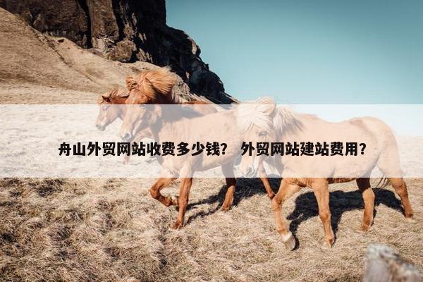 舟山外贸网站收费多少钱？ 外贸网站建站费用？