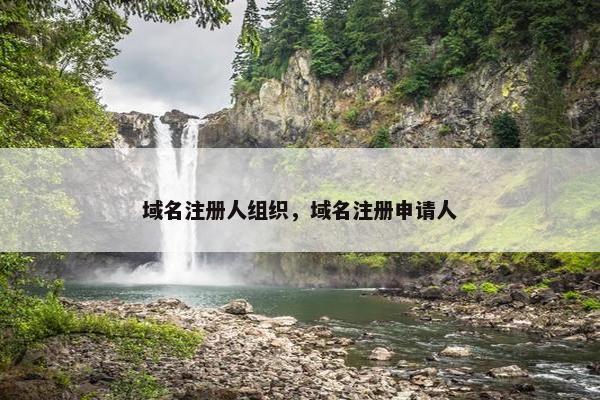 域名注册人组织，域名注册申请人