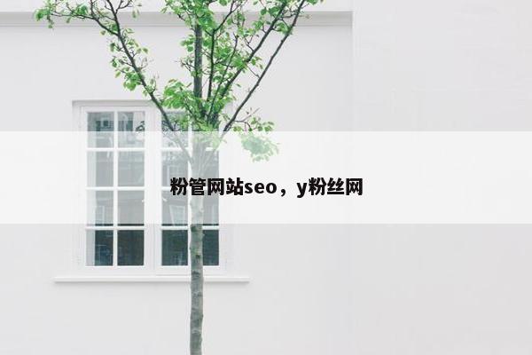 粉管网站seo，y粉丝网