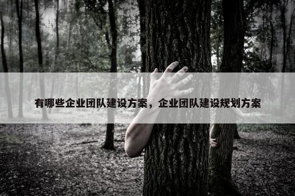有哪些企业团队建设方案，企业团队建设规划方案