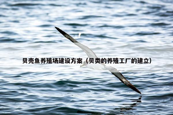 贝壳鱼养殖场建设方案（贝类的养殖工厂的建立）