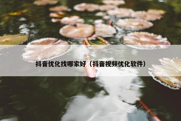 抖音优化找哪家好（抖音视频优化软件）