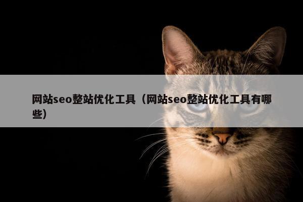 网站seo整站优化工具（网站seo整站优化工具有哪些）